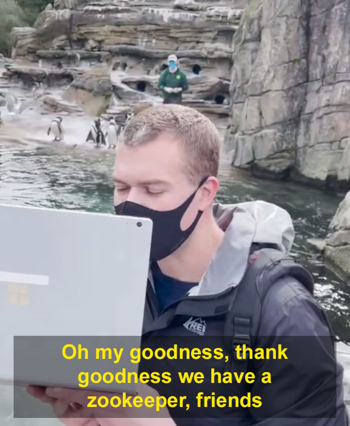 Kindergarten Teacher’s Virtual Field Trip To The Zoo Is Melting People’s Hearts