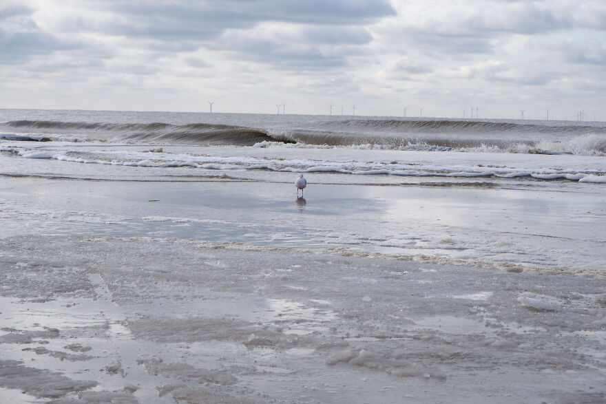 I Captured Snow And Ice On A Beautiful Dutch Beach I Captured Snow And Ice On A Beautiful Dutch Beach