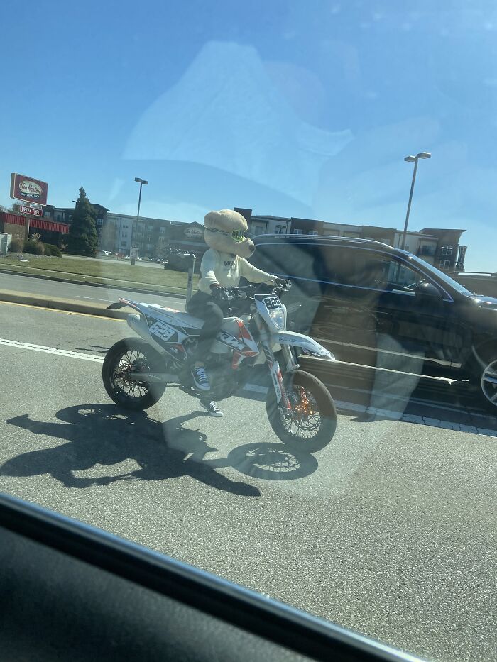 Hey Pandas, Post Funny Or Interesting Street Photos That You Took (Closed) Hey Pandas, Post Funny Or Interesting Street Photos That You Took (Closed)