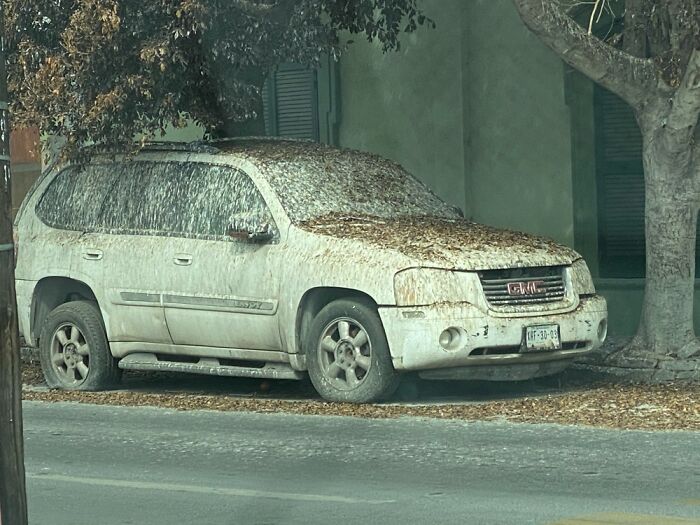 Hey Pandas, Post Funny Or Interesting Street Photos That You Took (Closed) Hey Pandas, Post Funny Or Interesting Street Photos That You Took (Closed)