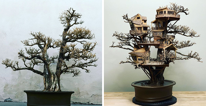 24 Photos Of Tiny Treehouses Handcrafted Within Bonsai Trees By The Late Dave Creek