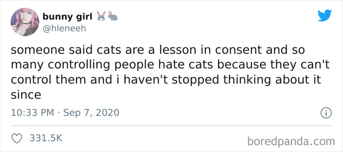 40 Of The Best “Dog People Vs. Cat People” Tweets 40 Of The Best “Dog People Vs. Cat People” Tweets