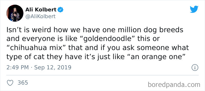 40 Of The Best “Dog People Vs. Cat People” Tweets 40 Of The Best “Dog People Vs. Cat People” Tweets