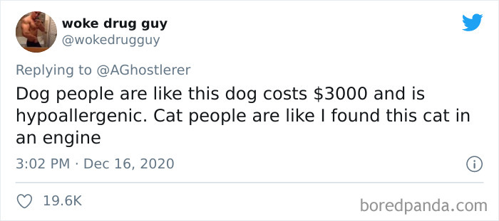 40 Of The Best “Dog People Vs. Cat People” Tweets 40 Of The Best “Dog People Vs. Cat People” Tweets