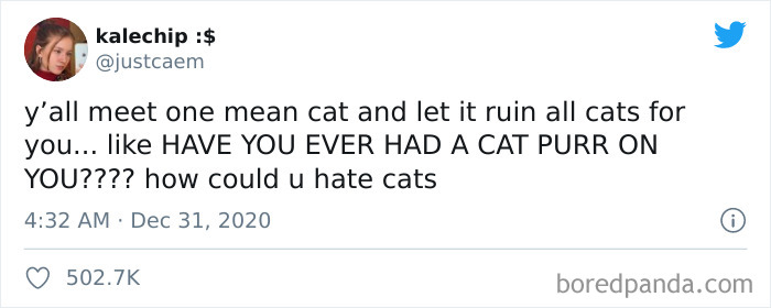 40 Of The Best “Dog People Vs. Cat People” Tweets 40 Of The Best “Dog People Vs. Cat People” Tweets