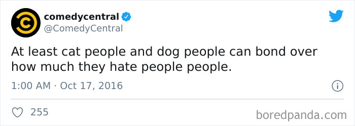 40 Of The Best “Dog People Vs. Cat People” Tweets 40 Of The Best “Dog People Vs. Cat People” Tweets