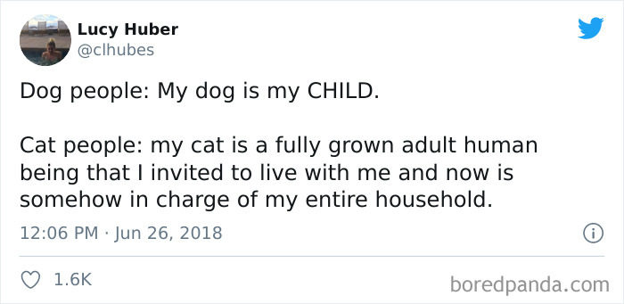 40 Of The Best “Dog People Vs. Cat People” Tweets 40 Of The Best “Dog People Vs. Cat People” Tweets