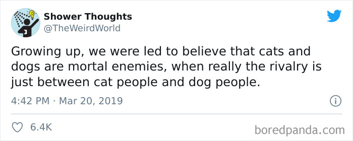 40 Of The Best “Dog People Vs. Cat People” Tweets 40 Of The Best “Dog People Vs. Cat People” Tweets