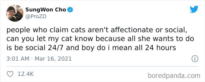 40 Of The Best “Dog People Vs. Cat People” Tweets 40 Of The Best “Dog People Vs. Cat People” Tweets