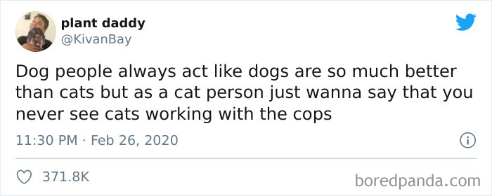 40 Of The Best “Dog People Vs. Cat People” Tweets 40 Of The Best “Dog People Vs. Cat People” Tweets