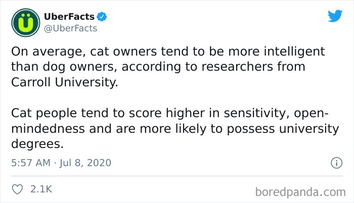 40 Of The Best “Dog People Vs. Cat People” Tweets 40 Of The Best “Dog People Vs. Cat People” Tweets