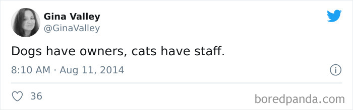 40 Of The Best “Dog People Vs. Cat People” Tweets 40 Of The Best “Dog People Vs. Cat People” Tweets