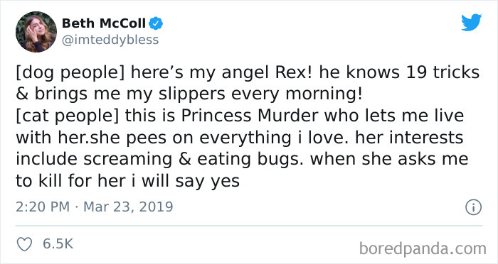 40 Of The Best “Dog People Vs. Cat People” Tweets 40 Of The Best “Dog People Vs. Cat People” Tweets