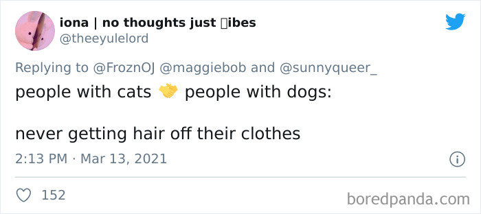 40 Of The Best “Dog People Vs. Cat People” Tweets 40 Of The Best “Dog People Vs. Cat People” Tweets