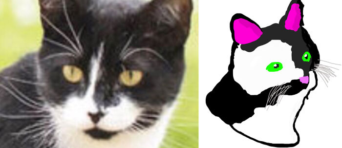 Hey Pandas, Draw Your Pet And Share It With A Real-Life Photo Of Them (Closed)