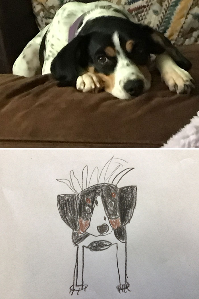 Hey Pandas, Draw Your Pet And Share It With A Real-Life Photo Of Them (Closed)