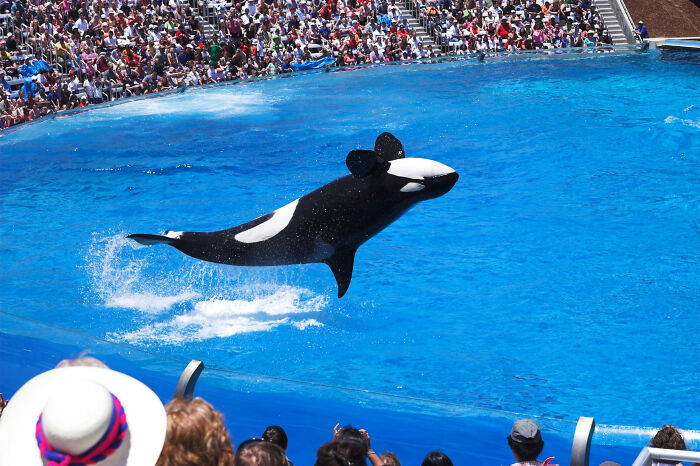 Foreigners Share 30 Of The Weirdest Things About The US That Americans Don’t Even Realize Foreigners Share 30 Of The Weirdest Things About The US That Americans Don’t Even Realize