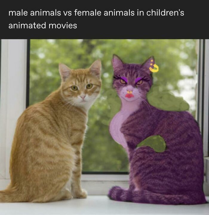 People Are Sharing Examples Of Pointless Gendering And It Shows How Stupid It Can Be (50 Pics)