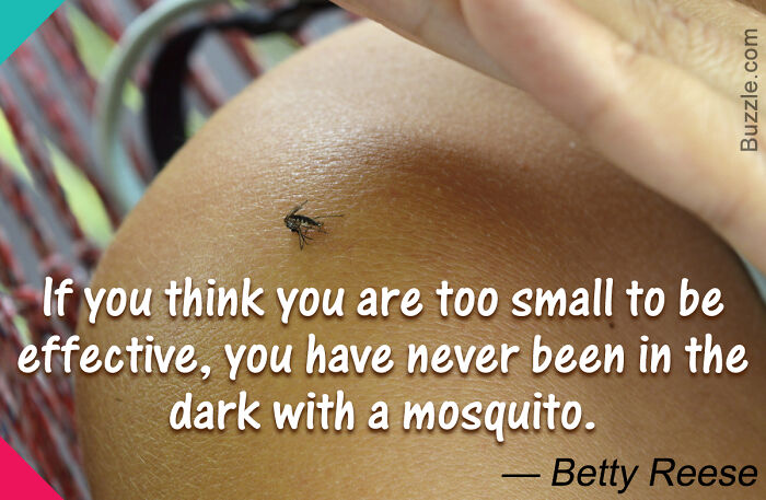 Hey Pandas, Show Your Best “Inspirational” Quote (Closed) Hey Pandas, Show Your Best “Inspirational” Quote (Closed)