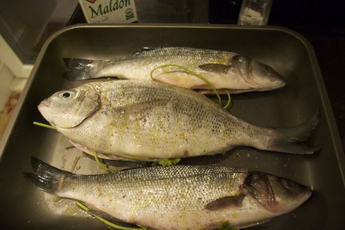 40 Of The Best Answers To “What Is One ‘Unwritten Rule’ You Think Everyone Should Know And Follow?” 40 Of The Best Answers To “What Is One ‘Unwritten Rule’ You Think Everyone Should Know And Follow?”