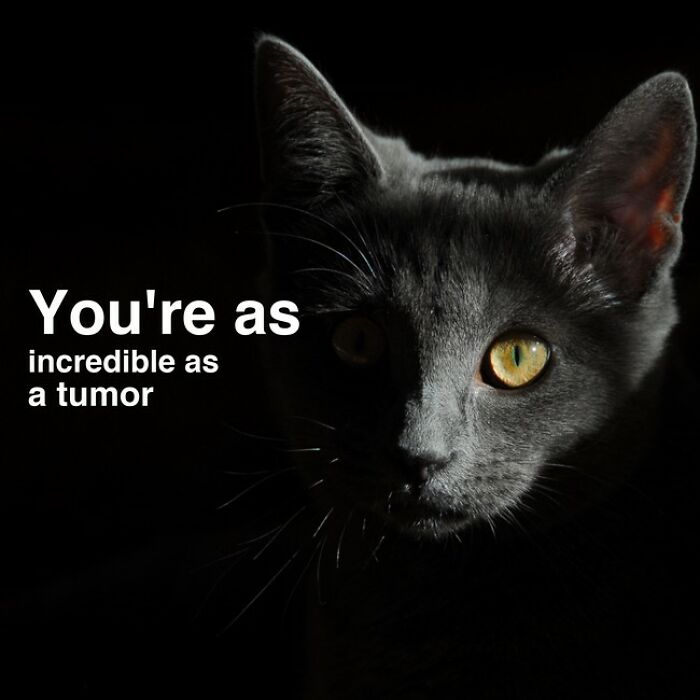 This A.I. Is Supposed To Create Inspiring Images, But The Results Are Funny Instead (40 Pics) This A.I. Is Supposed To Create Inspiring Images, But The Results Are Funny Instead (40 Pics)