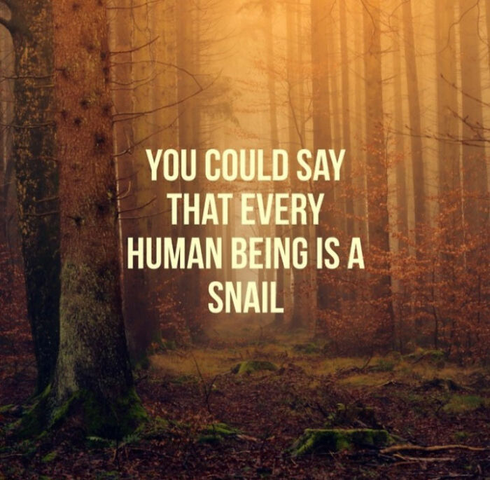 This A.I. Is Supposed To Create Inspiring Images, But The Results Are Funny Instead (40 Pics) This A.I. Is Supposed To Create Inspiring Images, But The Results Are Funny Instead (40 Pics)