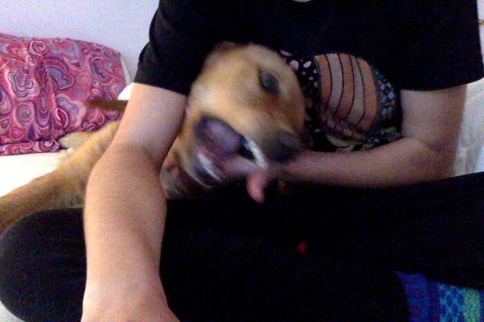 Hey Pandas, Show Me Your Quarantine Cooking Projects (Closed) Hey Pandas, Show Me Your Quarantine Cooking Projects (Closed)