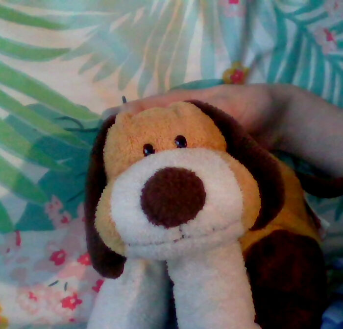 Hey Pandas, Show A Picture Of Your Oldest Toy When You Were Younger (Closed) Hey Pandas, Show A Picture Of Your Oldest Toy When You Were Younger (Closed)