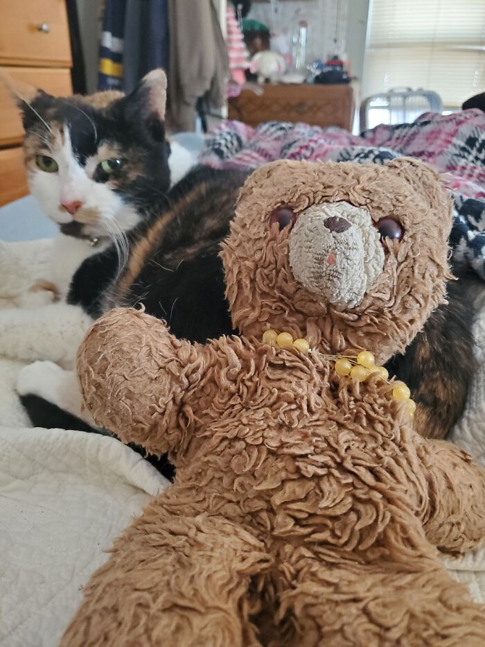 Hey Pandas, Show A Picture Of Your Oldest Toy When You Were Younger (Closed) Hey Pandas, Show A Picture Of Your Oldest Toy When You Were Younger (Closed)