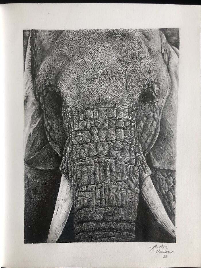 Hey Pandas, Show Something You Drew And You Are Really Proud Of (Closed)