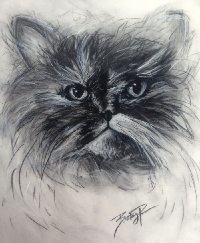 Hey Pandas, Show Something You Drew And You Are Really Proud Of (Closed)