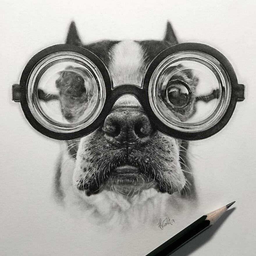 Artist Makes Realistic Pet Portraits Using Only A Pencil, Here Are The Best 49 Works Artist Makes Realistic Pet Portraits Using Only A Pencil, Here Are The Best 49 Works