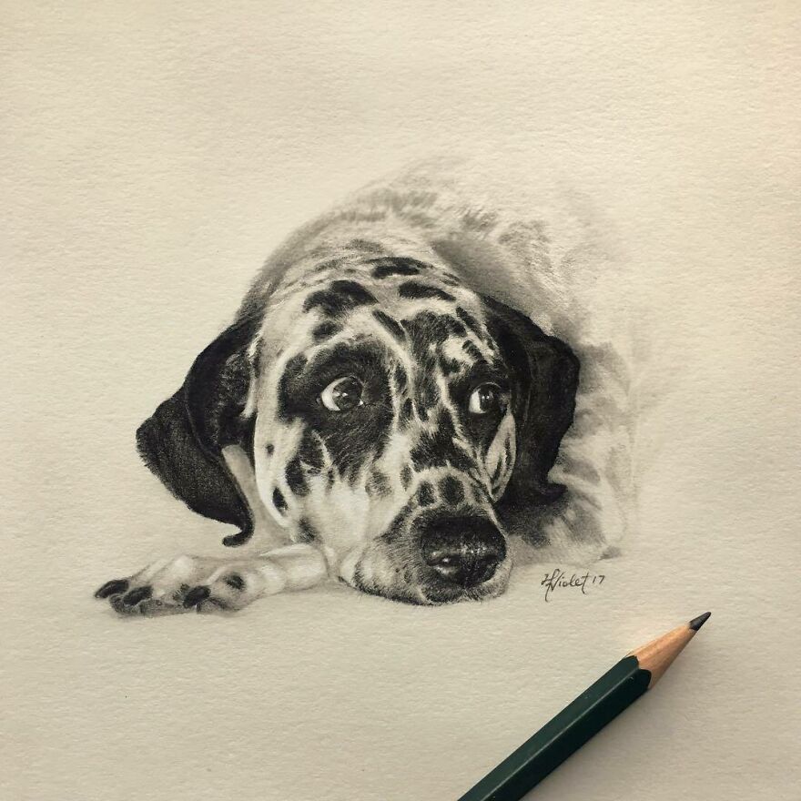 Artist Makes Realistic Pet Portraits Using Only A Pencil, Here Are The Best 49 Works Artist Makes Realistic Pet Portraits Using Only A Pencil, Here Are The Best 49 Works