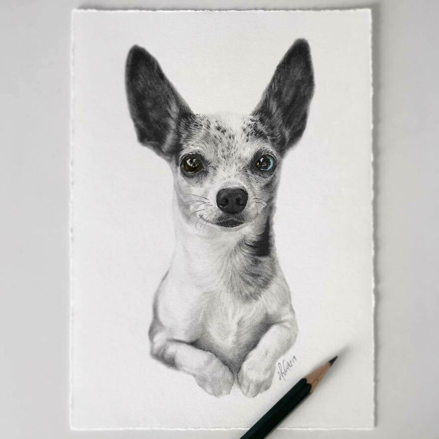 Artist Makes Realistic Pet Portraits Using Only A Pencil, Here Are The Best 49 Works Artist Makes Realistic Pet Portraits Using Only A Pencil, Here Are The Best 49 Works