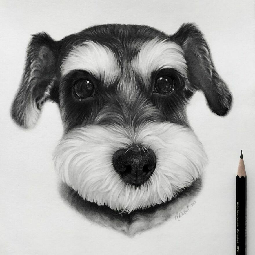 Artist Makes Realistic Pet Portraits Using Only A Pencil, Here Are The Best 49 Works Artist Makes Realistic Pet Portraits Using Only A Pencil, Here Are The Best 49 Works