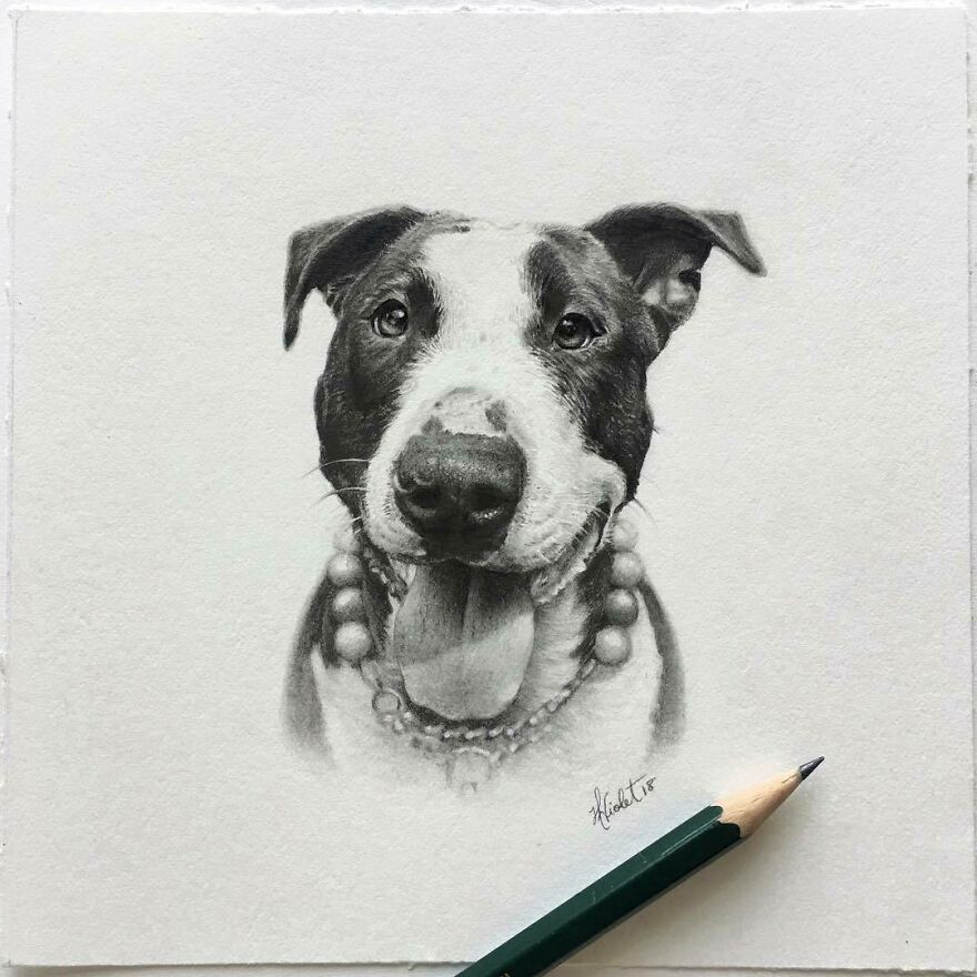 Artist Makes Realistic Pet Portraits Using Only A Pencil, Here Are The Best 49 Works Artist Makes Realistic Pet Portraits Using Only A Pencil, Here Are The Best 49 Works
