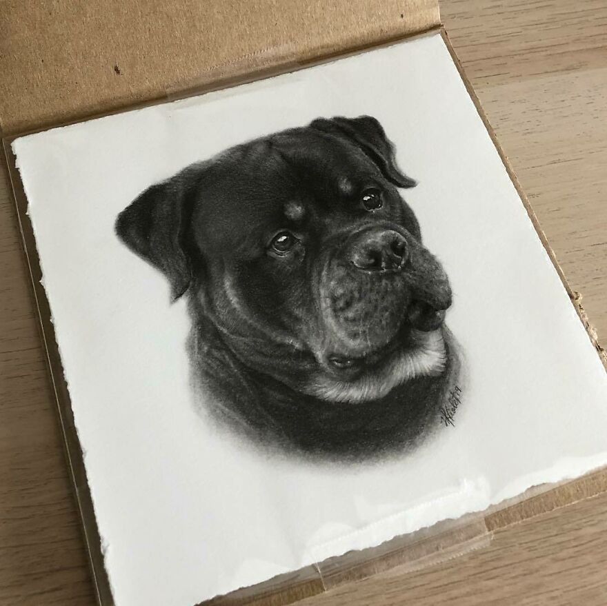 Artist Makes Realistic Pet Portraits Using Only A Pencil, Here Are The Best 49 Works Artist Makes Realistic Pet Portraits Using Only A Pencil, Here Are The Best 49 Works