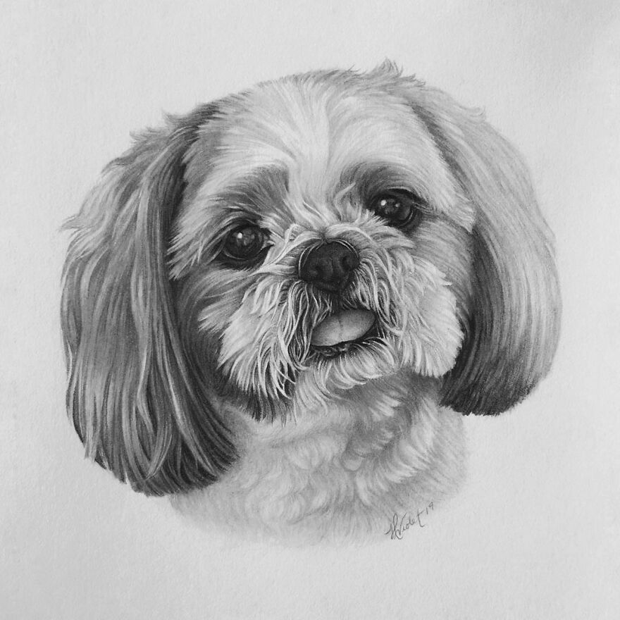 Artist Makes Realistic Pet Portraits Using Only A Pencil, Here Are The Best 49 Works Artist Makes Realistic Pet Portraits Using Only A Pencil, Here Are The Best 49 Works