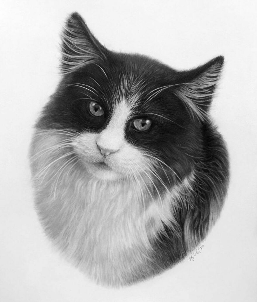 Artist Makes Realistic Pet Portraits Using Only A Pencil, Here Are The Best 49 Works Artist Makes Realistic Pet Portraits Using Only A Pencil, Here Are The Best 49 Works