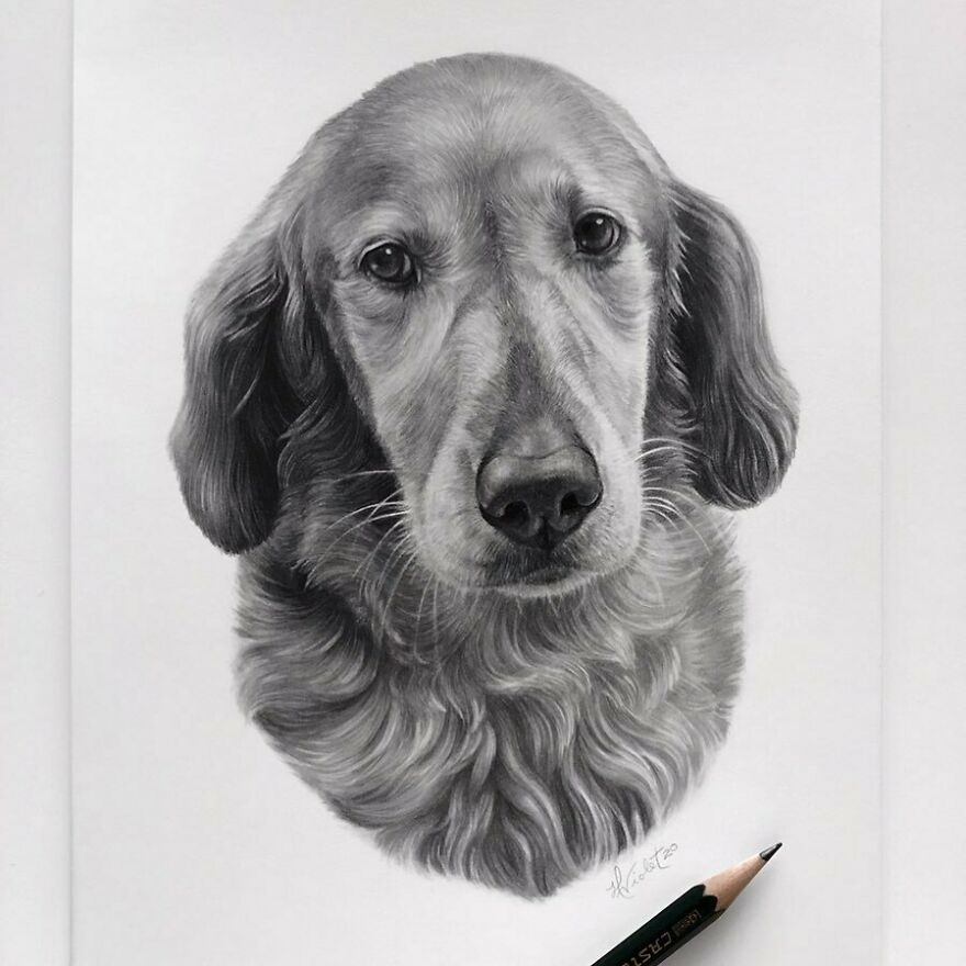 Artist Makes Realistic Pet Portraits Using Only A Pencil, Here Are The Best 49 Works Artist Makes Realistic Pet Portraits Using Only A Pencil, Here Are The Best 49 Works