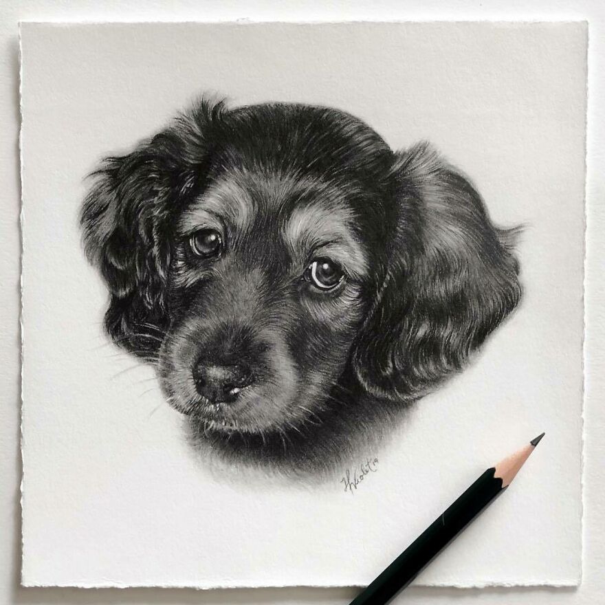 Artist Makes Realistic Pet Portraits Using Only A Pencil, Here Are The Best 49 Works Artist Makes Realistic Pet Portraits Using Only A Pencil, Here Are The Best 49 Works
