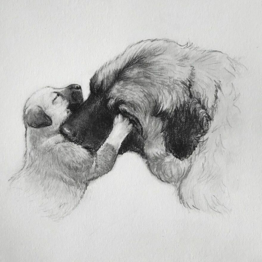 Artist Makes Realistic Pet Portraits Using Only A Pencil, Here Are The Best 49 Works Artist Makes Realistic Pet Portraits Using Only A Pencil, Here Are The Best 49 Works