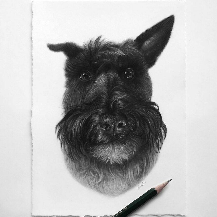 Artist Makes Realistic Pet Portraits Using Only A Pencil, Here Are The Best 49 Works Artist Makes Realistic Pet Portraits Using Only A Pencil, Here Are The Best 49 Works