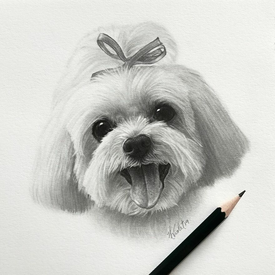 Artist Makes Realistic Pet Portraits Using Only A Pencil, Here Are The Best 49 Works Artist Makes Realistic Pet Portraits Using Only A Pencil, Here Are The Best 49 Works