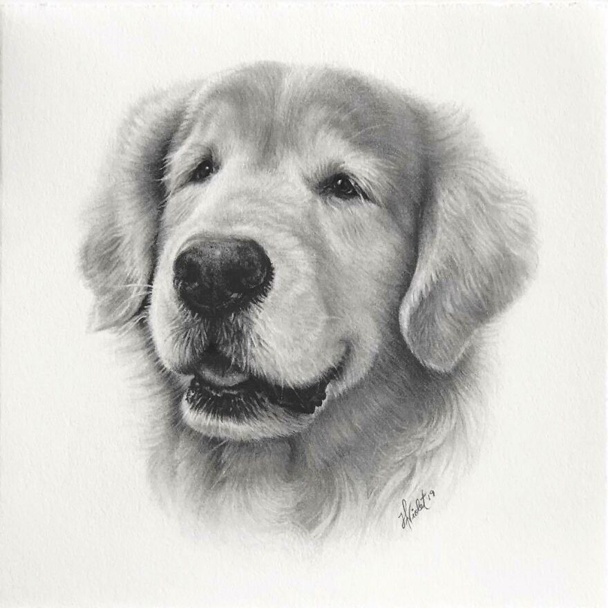 Artist Makes Realistic Pet Portraits Using Only A Pencil, Here Are The Best 49 Works Artist Makes Realistic Pet Portraits Using Only A Pencil, Here Are The Best 49 Works