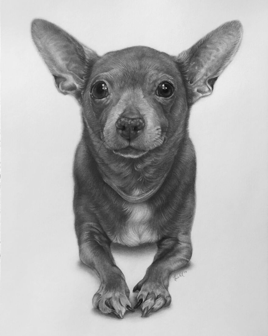Artist Makes Realistic Pet Portraits Using Only A Pencil, Here Are The Best 49 Works Artist Makes Realistic Pet Portraits Using Only A Pencil, Here Are The Best 49 Works