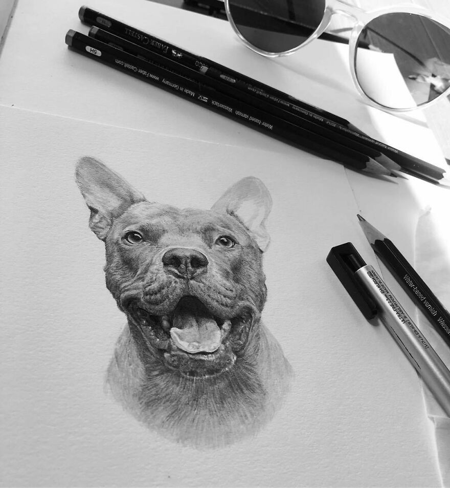 Artist Makes Realistic Pet Portraits Using Only A Pencil, Here Are The Best 49 Works Artist Makes Realistic Pet Portraits Using Only A Pencil, Here Are The Best 49 Works