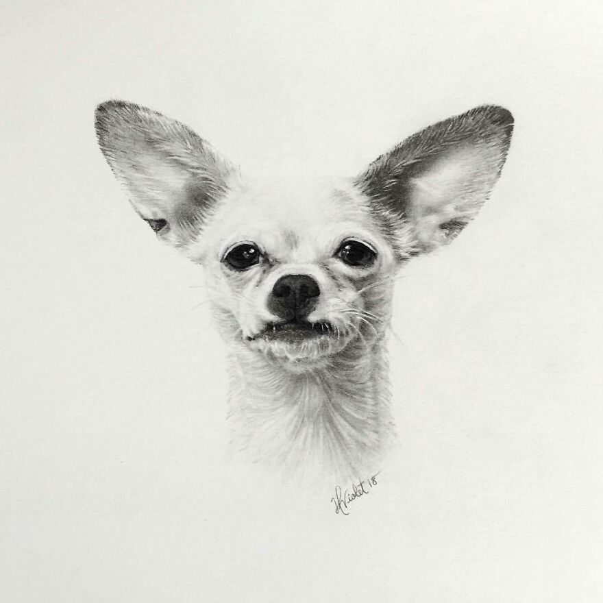 Artist Makes Realistic Pet Portraits Using Only A Pencil, Here Are The Best 49 Works Artist Makes Realistic Pet Portraits Using Only A Pencil, Here Are The Best 49 Works