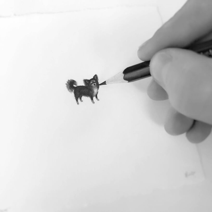 Artist Makes Realistic Pet Portraits Using Only A Pencil, Here Are The Best 49 Works Artist Makes Realistic Pet Portraits Using Only A Pencil, Here Are The Best 49 Works