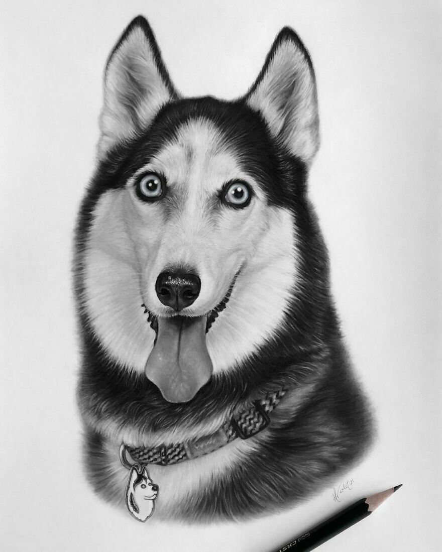 Artist Makes Realistic Pet Portraits Using Only A Pencil, Here Are The Best 49 Works Artist Makes Realistic Pet Portraits Using Only A Pencil, Here Are The Best 49 Works